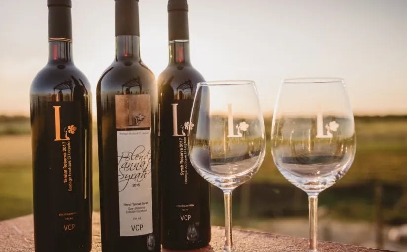 Experiencia Bodega El Legado Carmelo Ruta del Vino