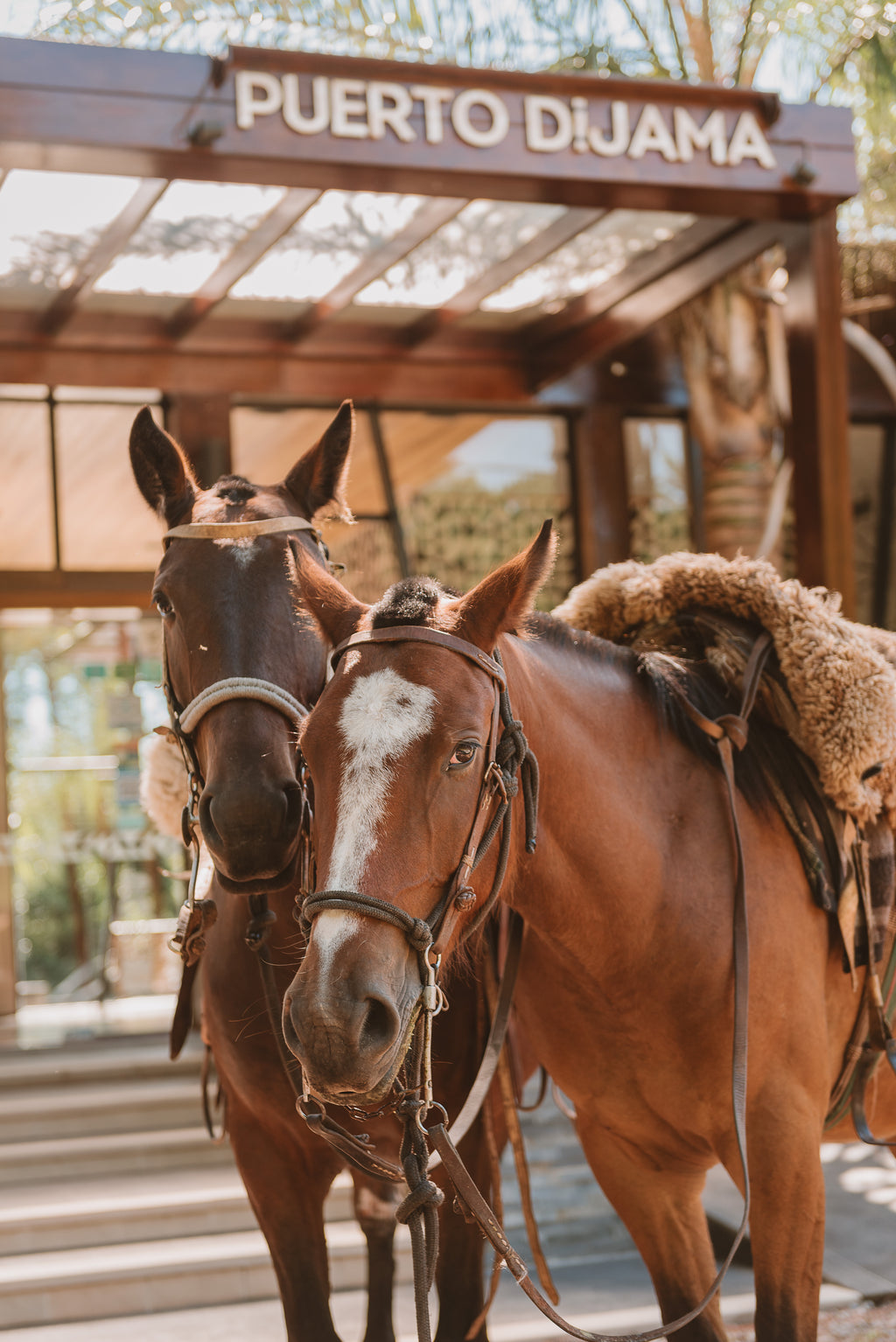 Escapada Tigre–Carmelo | Puerto Dijama para 2