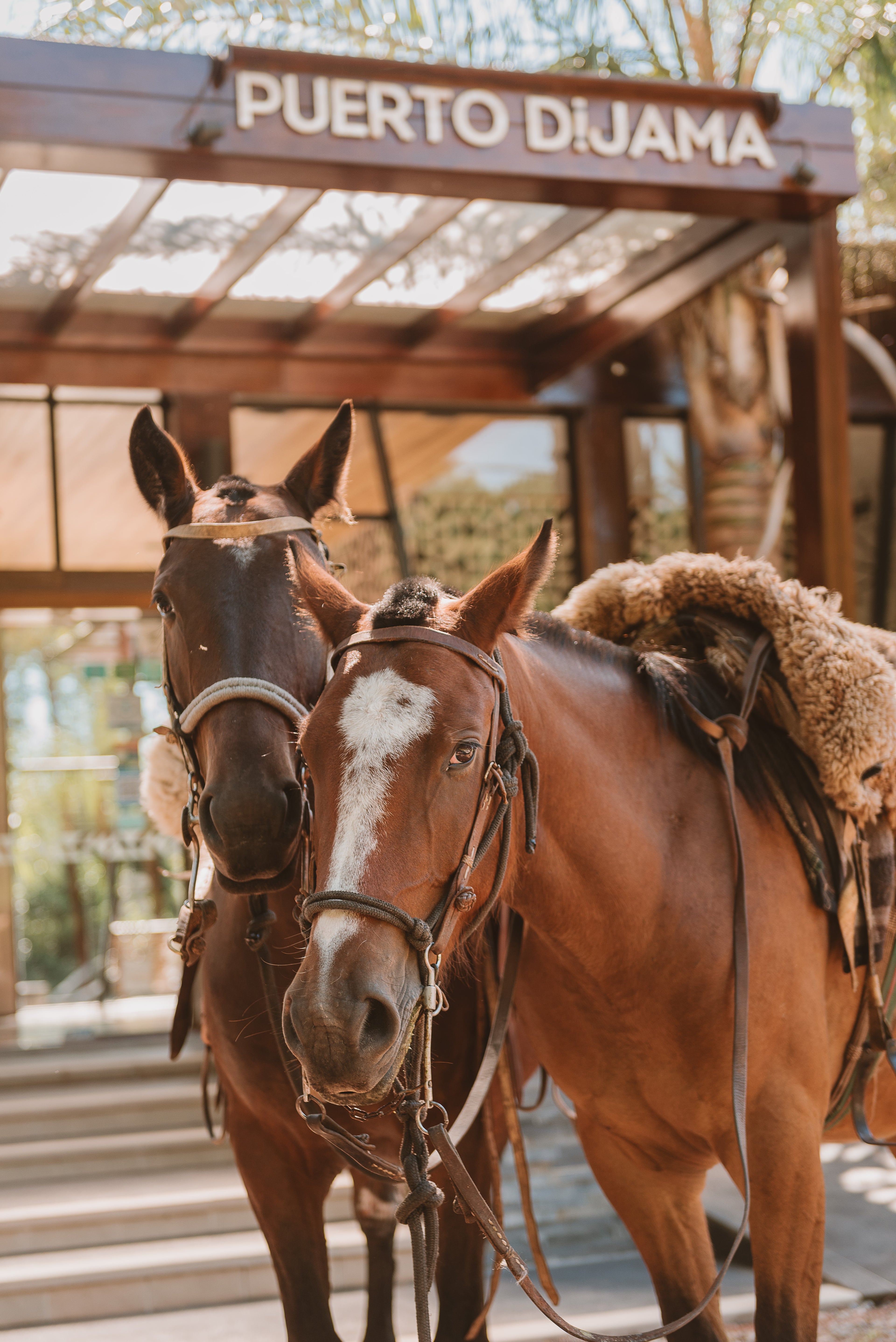 2 noches para 2 en Deluxe con Terraza