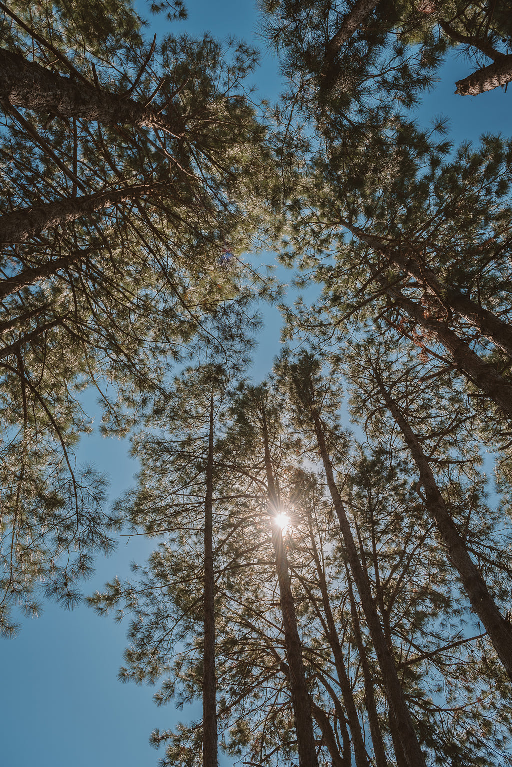 2 noches para 2 en Suite con Jacuzzi con cenas