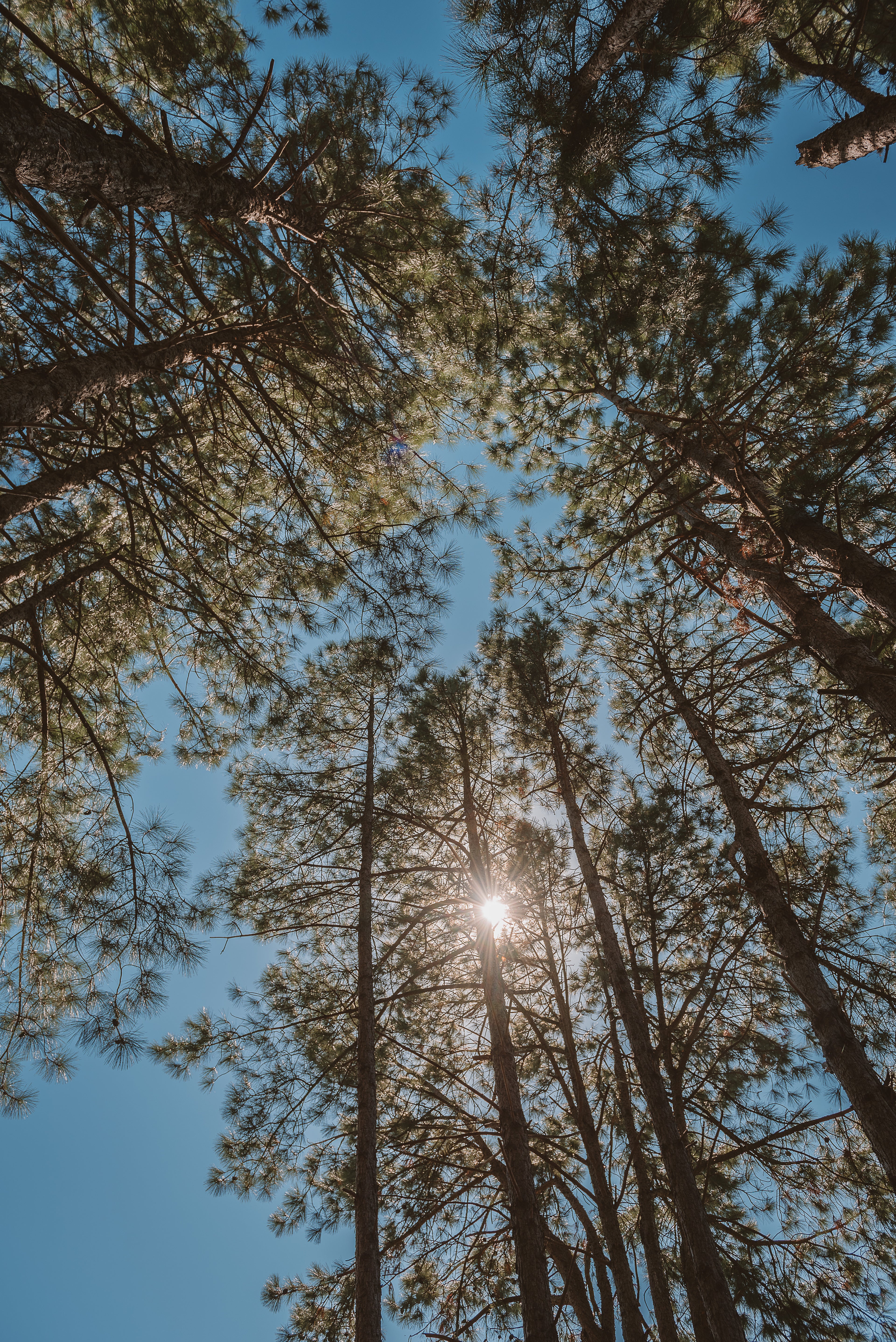 2 noches para 2 en Suite con Jacuzzi con cenas